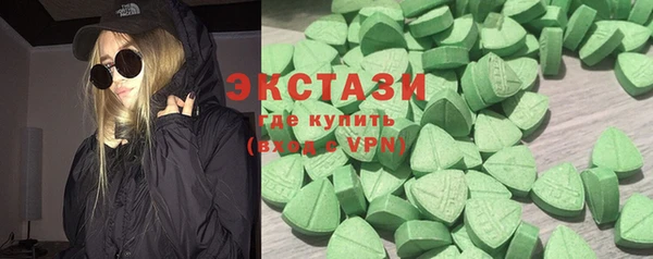 ECSTASY Богородицк